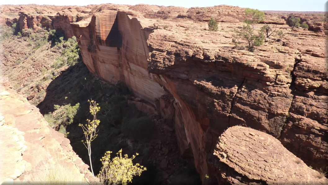 foto Parco nazionale Uluru Kata Tjuta